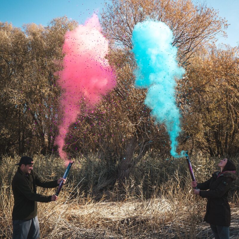 Gender Reveal With Chalk Cannon
