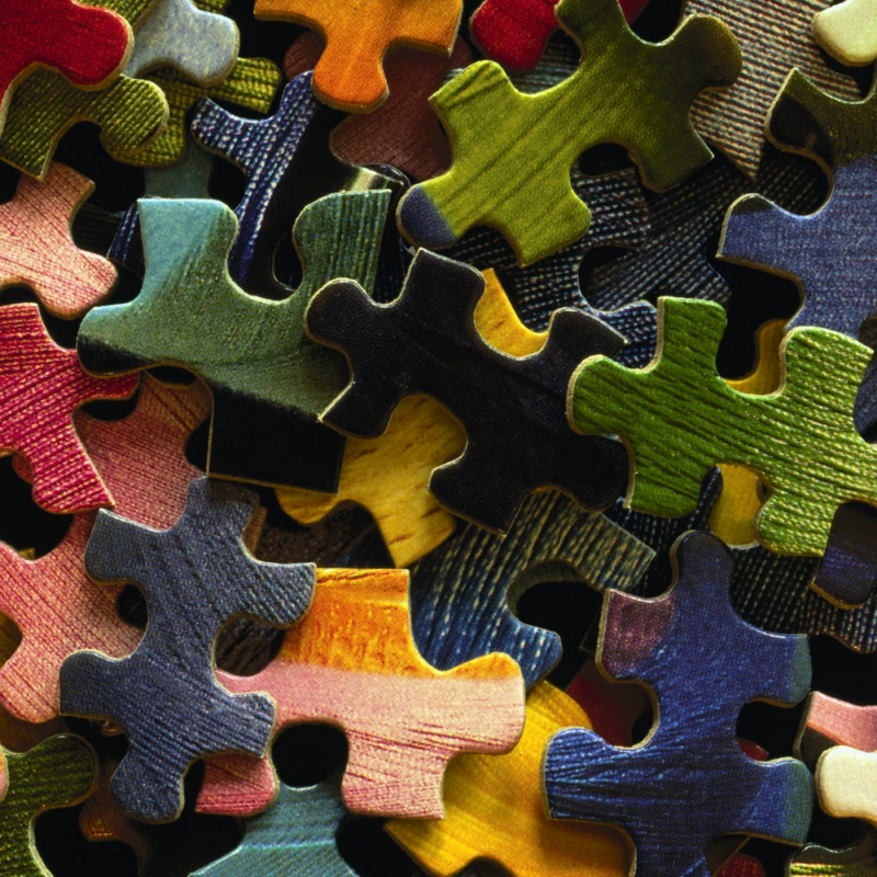 The Colorful Puzzle Pieces