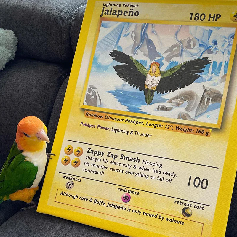 Personalized Pet Pokemon Cards