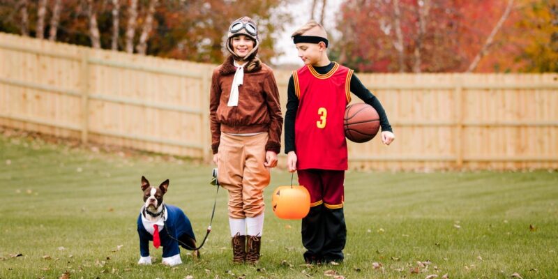 halloween costumes for dogs and owners