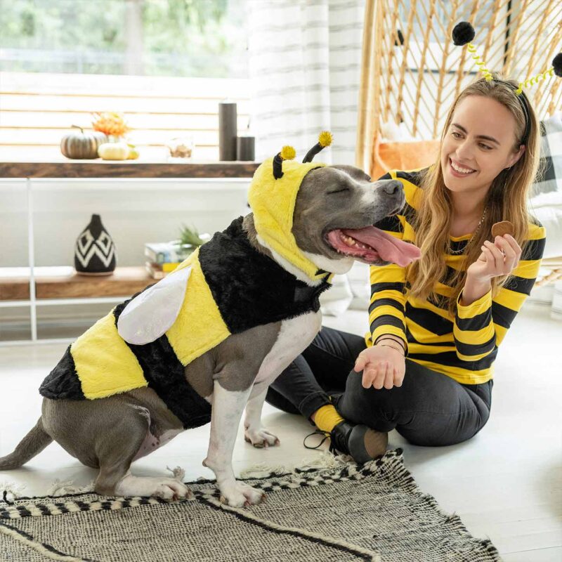 Dog and Owner Bumblebee 