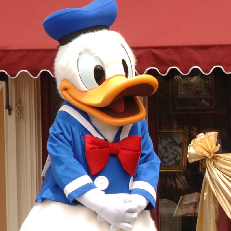  Mickey Mouse and Donald Duck