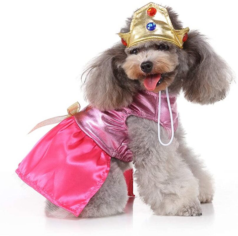 Princess Queen Costume