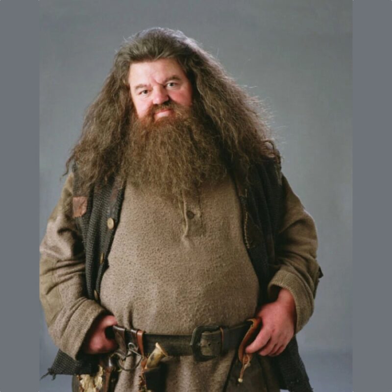 Rubeus Hagrid Costume