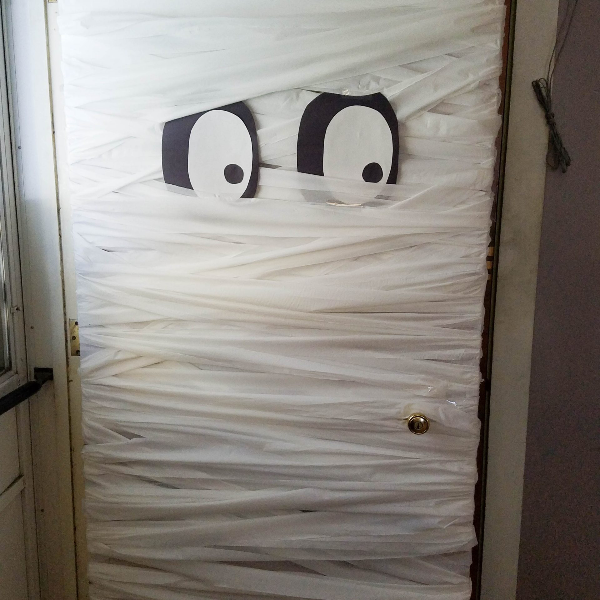Simple Mummy Door