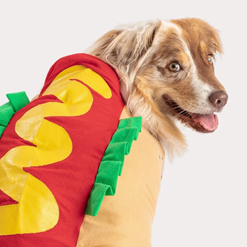 Vendor and Hotdog