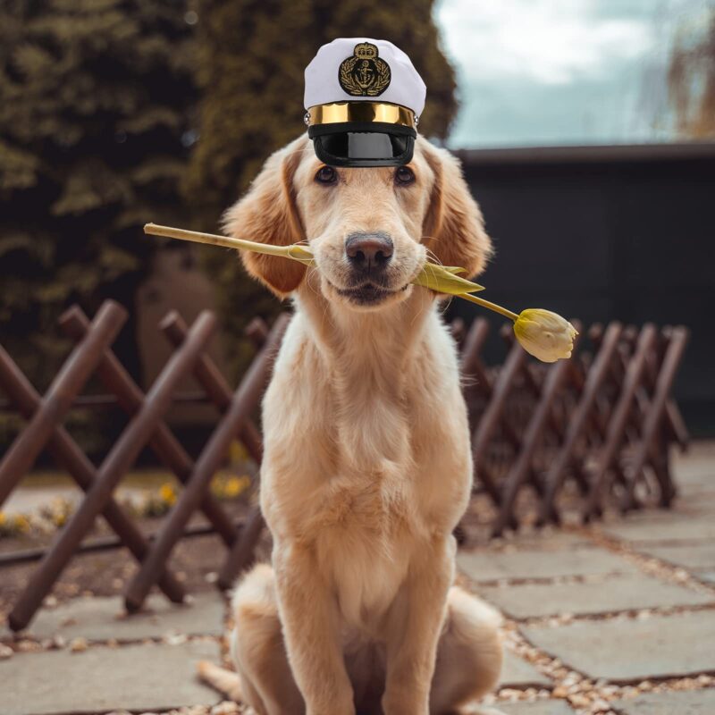 Yacht Captain